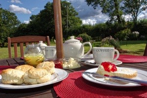 henbere farm, bed breakfast bickleigh, bed breakfast tiverton, accommodation bickleigh, accommodation tiverton
