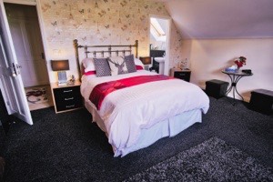 henbere farm, bed breakfast bickleigh, bed breakfast tiverton, accommodation bickleigh, accommodation tiverton